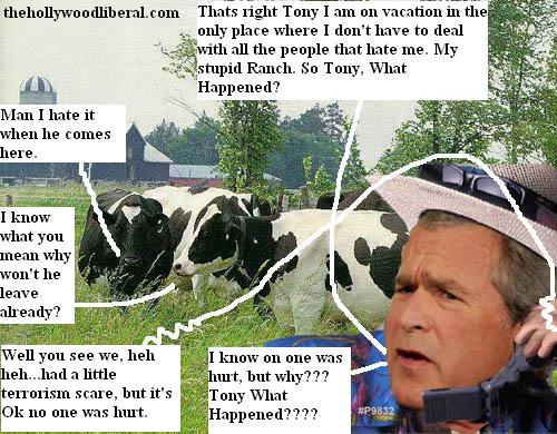 Bush discusses terrorism from his crawford ranch