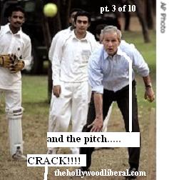 Bush pitches on in during cricket match