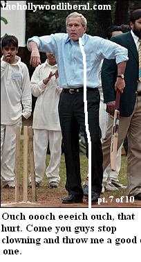 Bush plays cricket