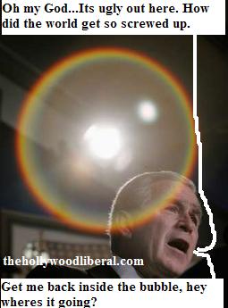 Bush in the bubble