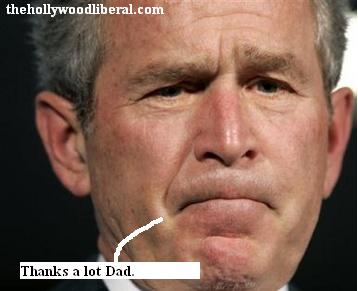 Bush ponders a 