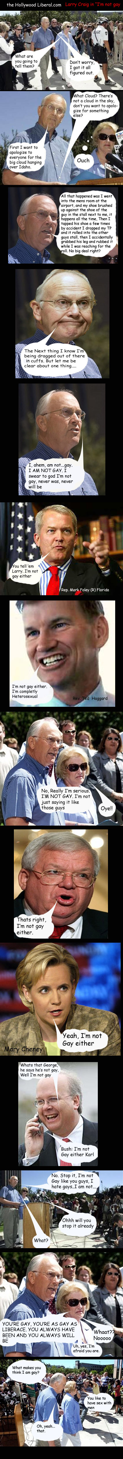 Larry Craig is not gay